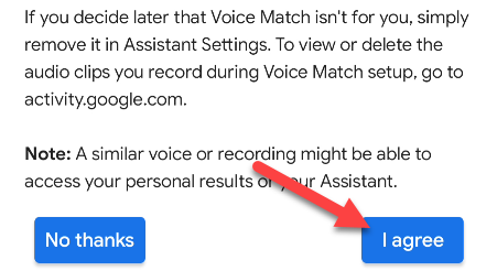 Opt in or out to "Voice Match."
