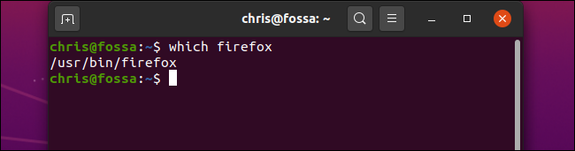 Running &quot;which firefox&quot; in a Terminal window on Ubuntu.