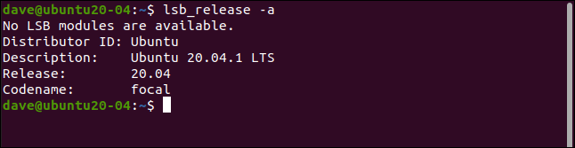 output of lab_release on Ubuntu in a terminal window