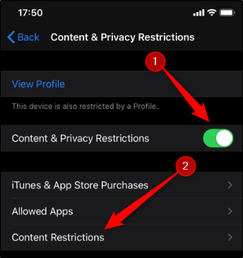 Content and privacy restrictions