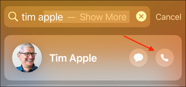 Tap Call button from Spotlight Search