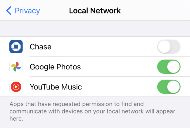 The Settings &gt; Privacy &gt; Local Network screen on an iPhone