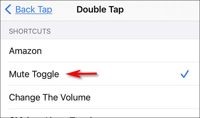 In Back Tap settings on iPhone, tap the shortcut you'd like to use.