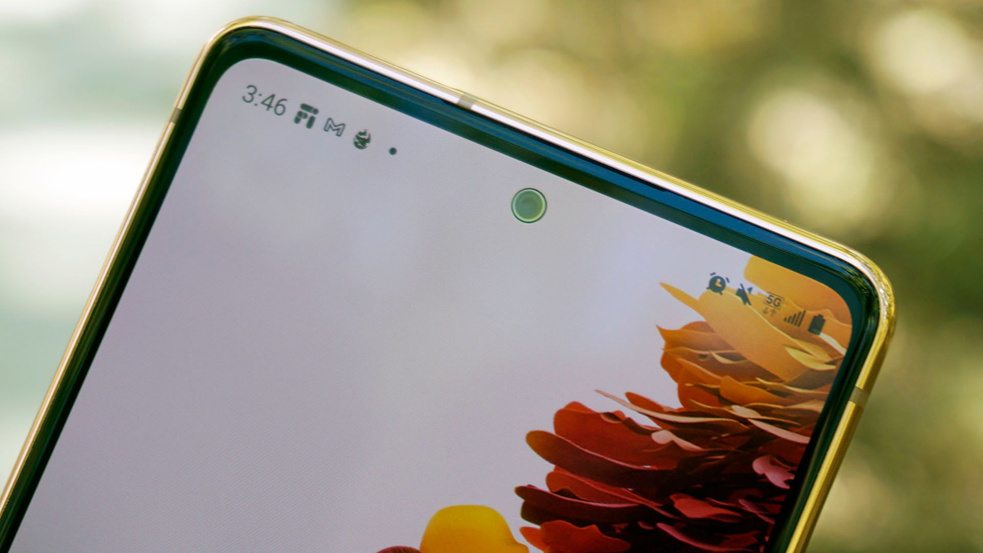 Galaxy S20 Fan Edition front camera cutout