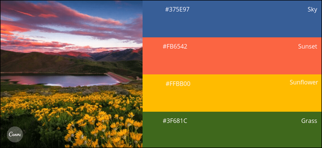 Color Palette Sample Canva