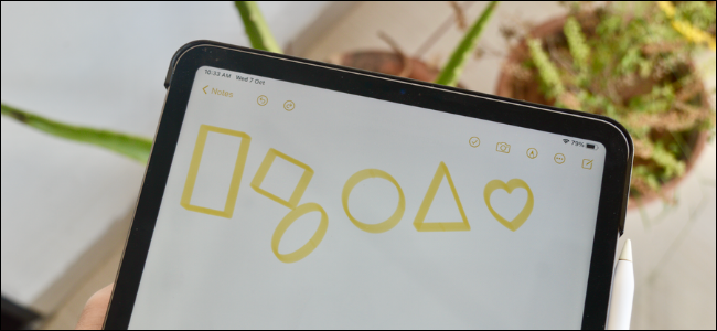 iPad User Creating Perfect Shapes in Notes App