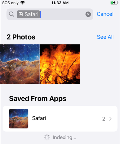 Search &quot;Safari&quot; to find images you've downloaded using Safari.