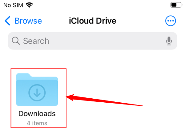 Tap "Downloads" to display downloaded files.
