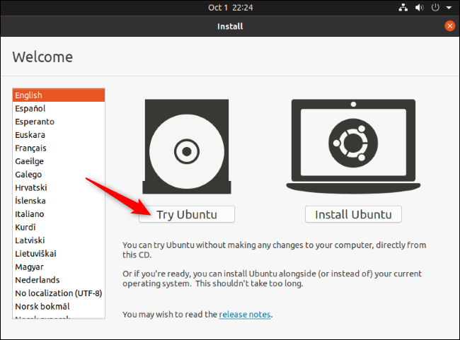 Click &quot;Try Ubuntu&quot; on the Install screen