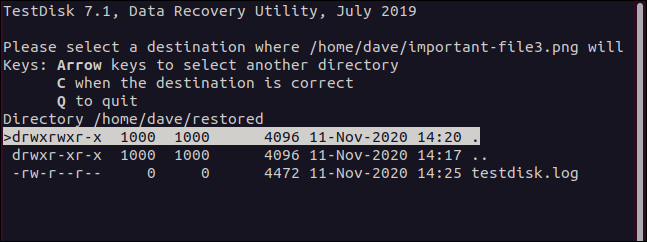 File destination menu in testdisk in a terminal window