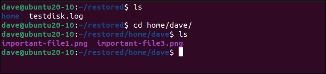 ls in a terminal window
