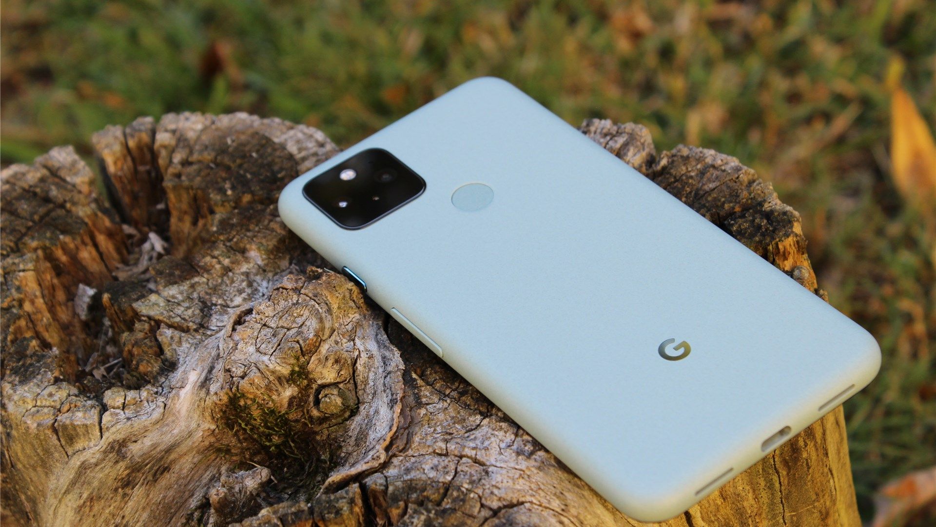 The Sage Green Pixel 5 lying screen-down on a tree trunk