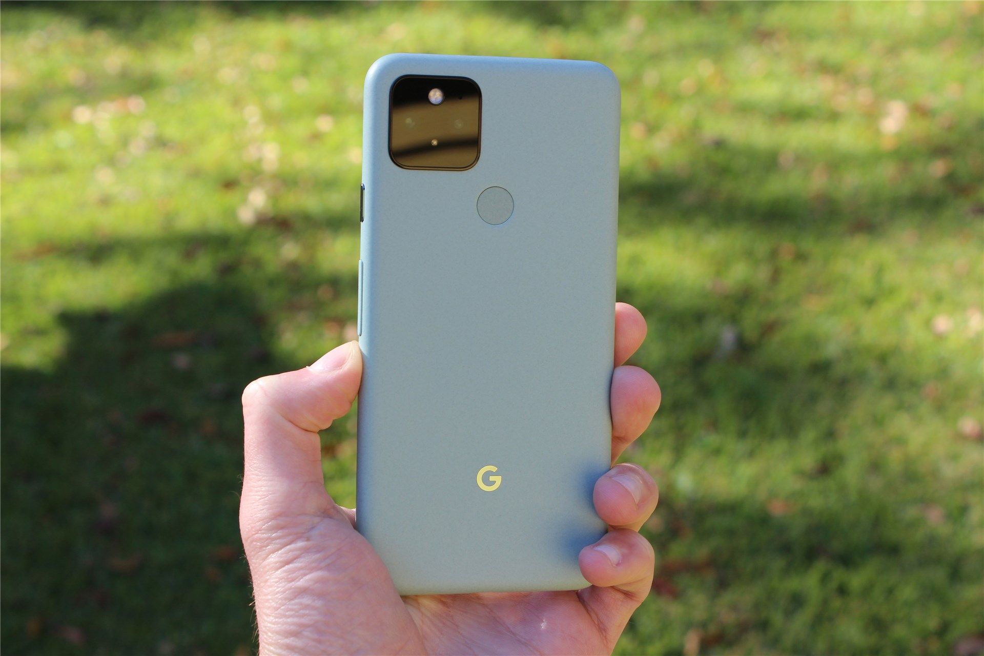 The Pixel 5 in Sage Green