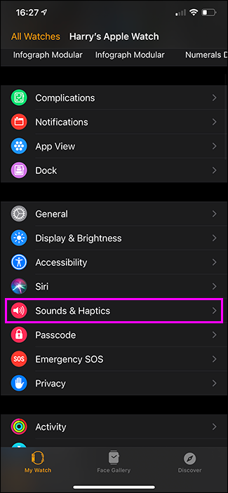 sounds & haptics option apple watch