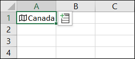 Location with Geography map icon in Excel