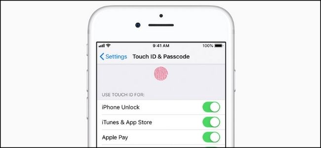Touch ID Apple Settings
