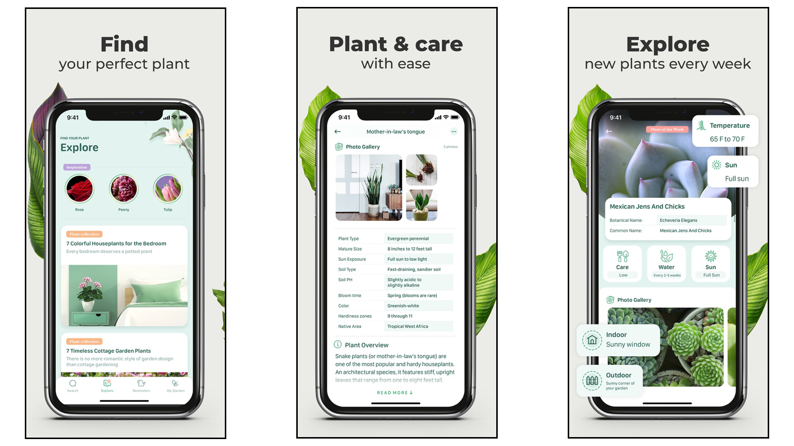 Plant application. Focus Plant приложение. Plant ID: Plant identification андроид. Plantnet приложение. Plant Care app.