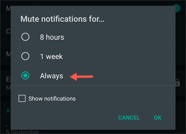 Select "Always" to mute a WhatsApp chat forever
