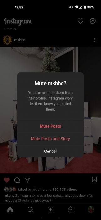 A screenshot showing the Mute menu on Instagram