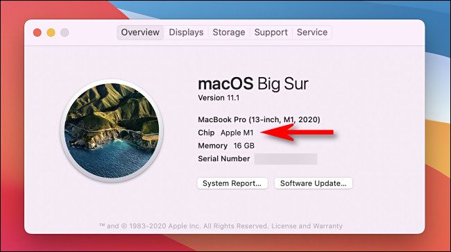 In the "About This Mac" window, you'll see the GPU listed under "Chip" on an Apple Silicon Mac.