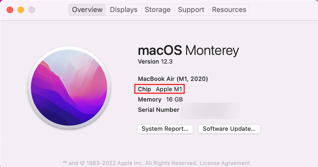 The "About this Mac" window found in older versions of macOS, like Monterey. 
