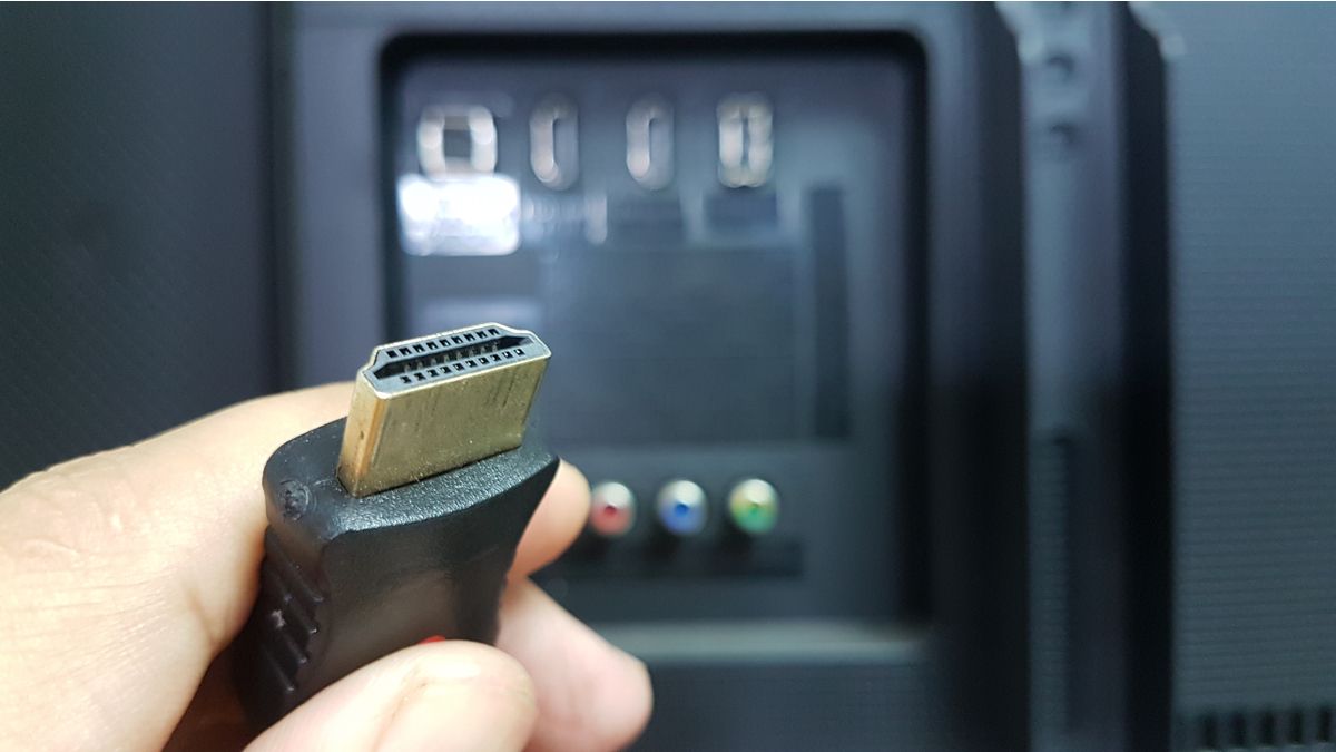 A person holding an HDMI cable
