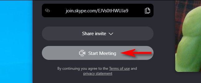 Click "Start Meeting."