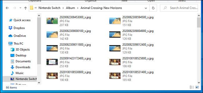 A list of Nintendo Switch screenshot and video images as seen on a Windows PC over a USB cable.