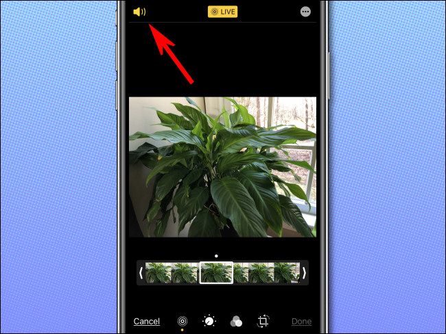 Tap the speaker icon in the upper-left corner of the screen to disable the Live Photo audio.