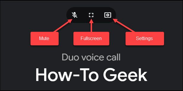 voice call options