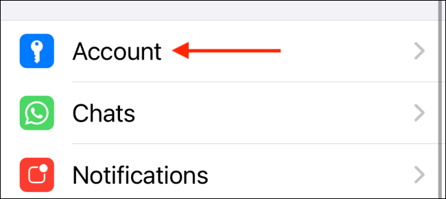 Choose Account Section in WhatsApp for iPhone