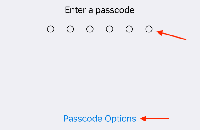 Enter Passcode or Choose Options in Telegram for iPhone