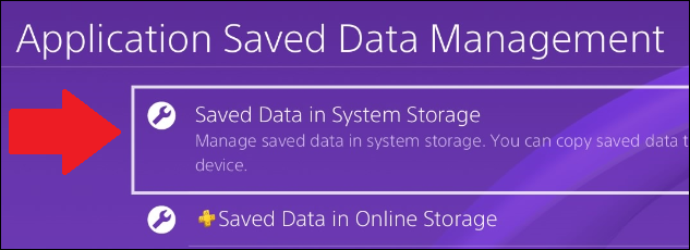 Select "Saved Data in System Storage."