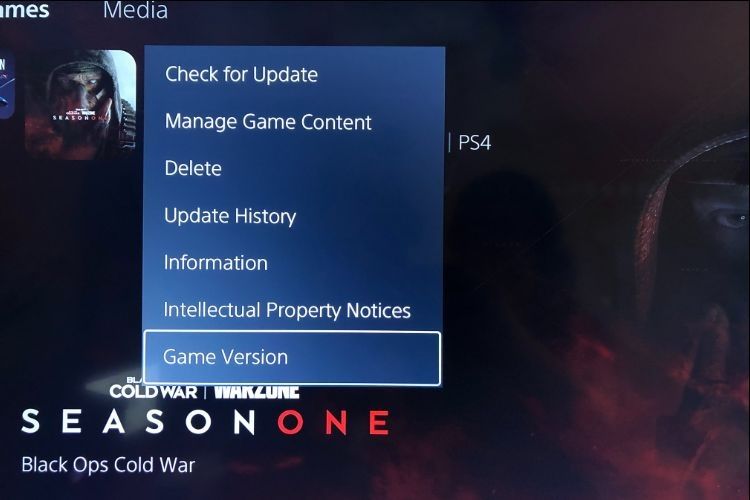 ps5 menu option allows you to check the game version