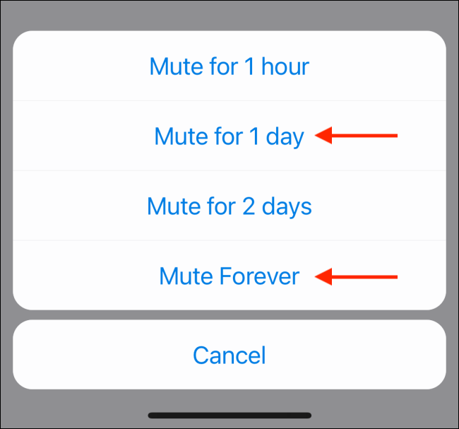 Select Mute Time Frame