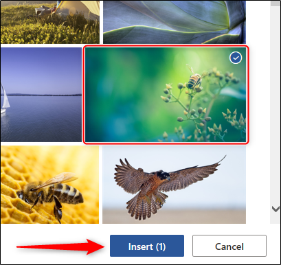 Select and insert image