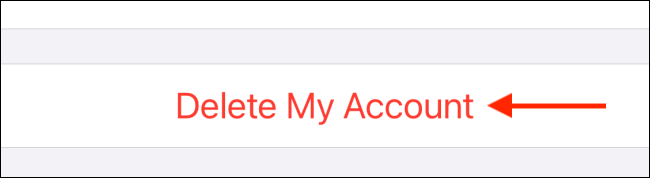 Tap Delete My Account To Finally Delete WhatsApp Account in iPhone App