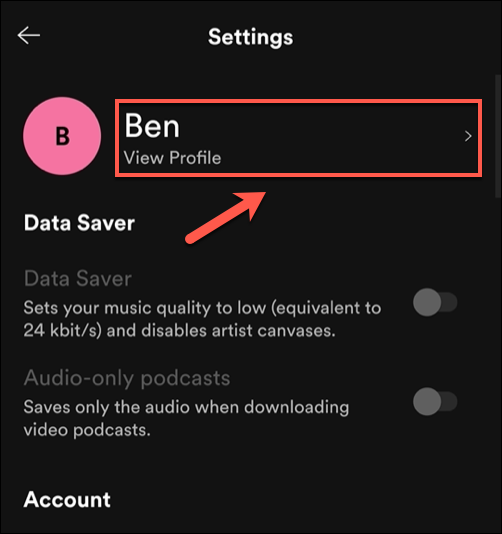 In the Spotify app, tap the "View Profile" option.