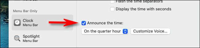 In "Clock" preferences, put a check mark beside "Announce the time."