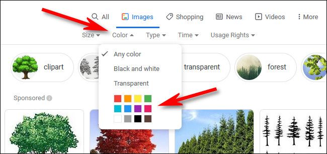 In Google Image search, click the "Color" menu, then select a color.