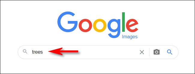 Type your search into Google Images and hit Enter.