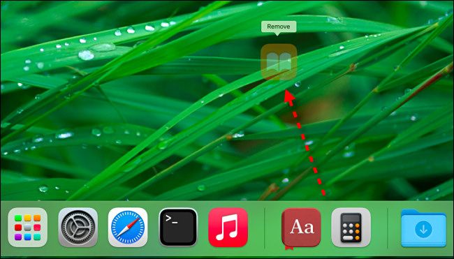 Drag an app icon away from the dock until it says "Remove," then release your mouse button.