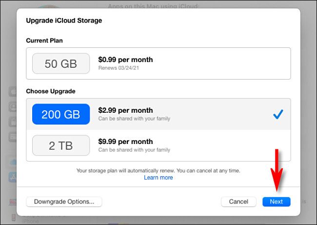 Select an iCloud storage plan, then click "Next."
