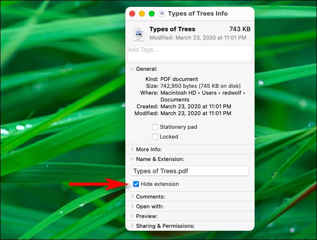 In the file's Get Info window, check or uncheck "Hide extension."