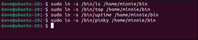 sudo ln -s /bin/ls /home/minnie/bin in a terminal window