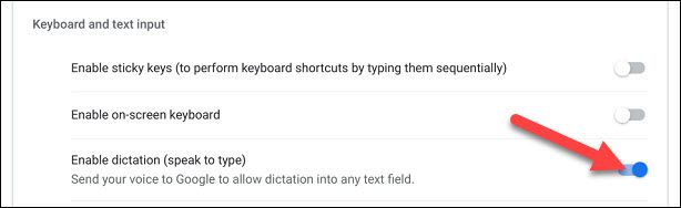 toggle on the dictation feature