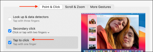 Enable Tap to Click on Mac