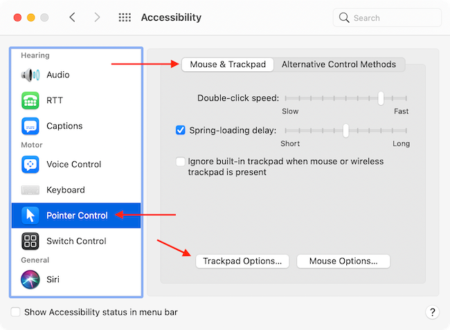 Go to Trackpad Options in Accessibility