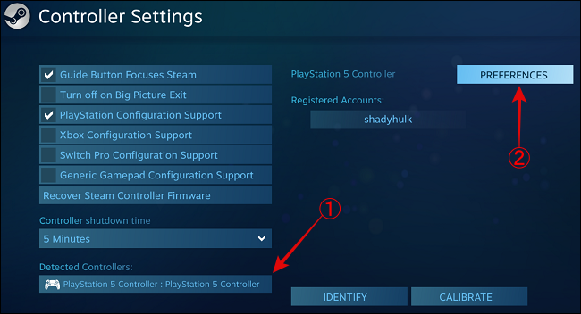 Select the PS5 Controller and click Preferences