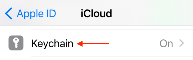 Tap Keychain from iCloud Settings